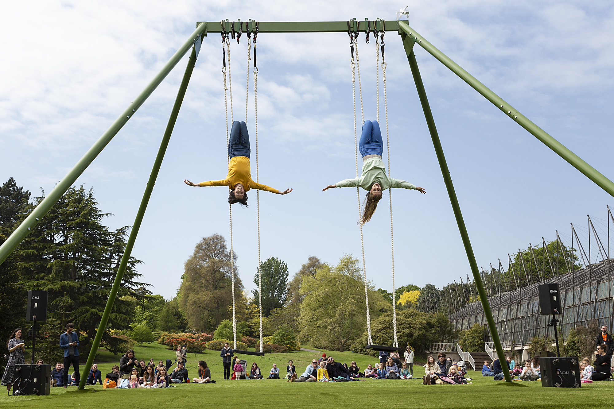 The Swings